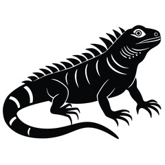 green iguana vector