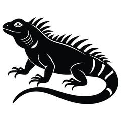 green iguana vector