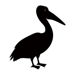 Pelican bird Silhouette, Vector, Icon, Logo, transparent Background.