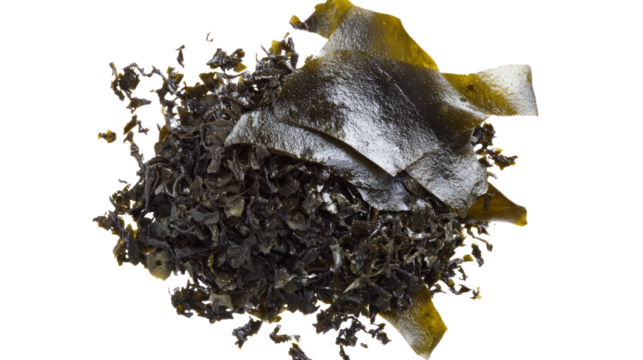 High-resolution macro shot of assorted edible seaweed varieties, including wakame and kelp, commonly used in Asian cuisine and superfood dishes.