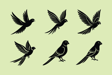 Plum-headed Parakeet bird, silhouette vector illustration