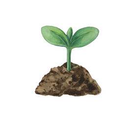 Watercolor illustration of a green sprout growing from the soil