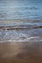 Sand beach and a line of the tide, Gran Canaria, Spain