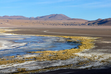 Shallow salt lake with blue waters surrounded by yellow mineral deposits in Eduardo Avaroa National Park, Bolivia. Small flamingos visible in water with mountains backdrop.