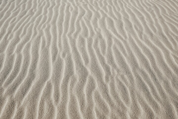 Sand closeup surface for nature, landscape or summer travel theme design. Fine sand texture background for outdoor, eco and minimalist projects
