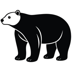 polar bear vector