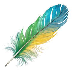 Fototapeta premium Vibrant Bird Feather Teal, Green, and Yellow