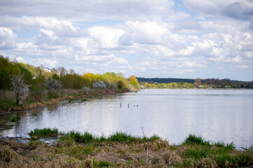 view of rhe pond in   in Vyshnivets, Ukraine