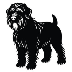 black rssina terrier vector dog
