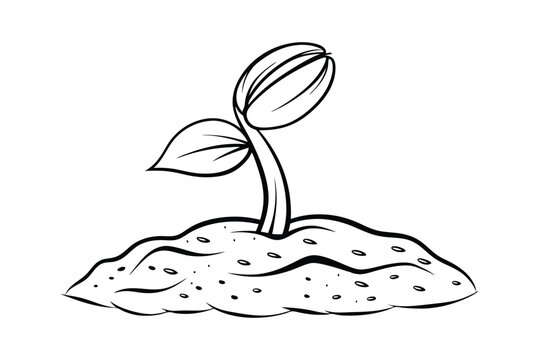 black and white sprout growing from soil clip art preview