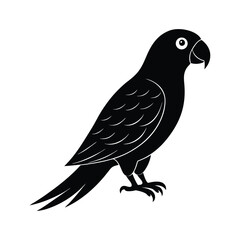 Parrot silhouette isolated on white background