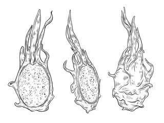 Vector set dragon fruit. Hand drawn pitahaya illustration, black and white graphics. Dragon fruit whole and half, fragment. Tropical fruit, exotic food. Design and typography.