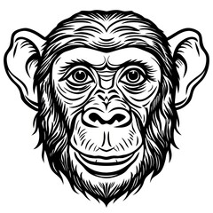 Fototapeta premium chimpanzee line art