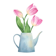 Watering can with pink tulips - spring floral watercolor illustration