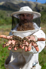 Apicultor con barba con abejas en sus manos desnudas en imagen vertical 