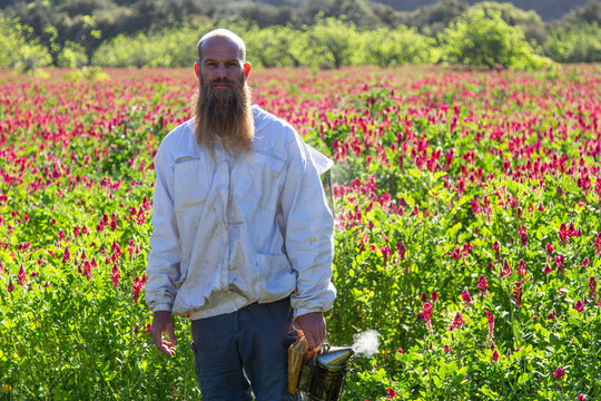 Apicultor con larga barba rubia en primer plano en una fotograf&iacute;a horizontal con ahumador sacando humo y fondo de campo de sulla con flores rojas