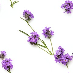 Obraz premium Lavender Flower Arrangement on White Background for Spring Designs