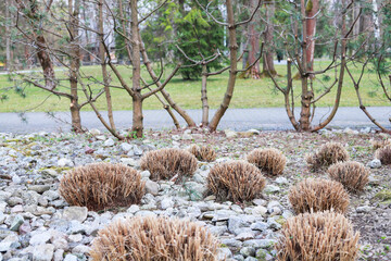 The garden after winter, tidy and prepared for spring bloom.
