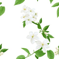 Obraz premium Seamless Pattern Featuring Jasmine Flowers with Green Leaves on White Background