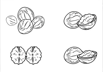 Walnut Icon Set – Vector Collection of Whole and Cracked Walnuts for Illustrations

