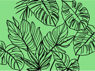  Single continuous line drawing of tropical leaves, monoline style, stroke weight consistency