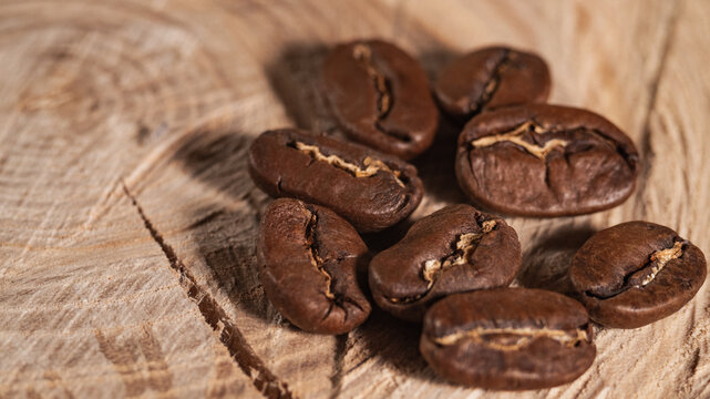 Arabica Coffee Beans Maragogipe on a Wooden Background. Elephant Beans