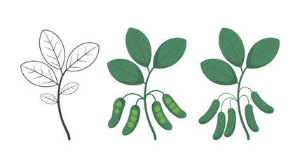From Seed to Pod: A vibrant illustration showcases the transformation of a young plant, from delicate leaves to a lush, fruit-bearing stage, embodying the essence of growth and abundance.