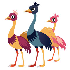  set of Ostrich birds  shilhotee vector with white background