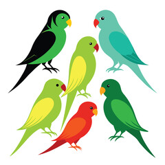  set of Parakeet birds  shilhotee vector with white background