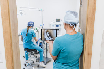 Veterinary dentistry and oral surgery team during intervention on pet animal under anesthesia. Vet dental specialist concept.