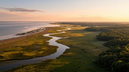 Aerial view of river flowing towards the sea at sunset with lush green surrounding area