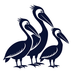  set of Pelican birds  shilhotee vector with white background