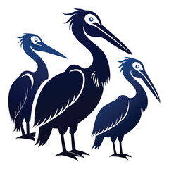  set of Pelican birds  shilhotee vector with white background