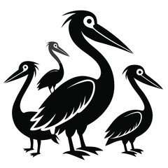  set of Pelican birds  shilhotee vector with white background