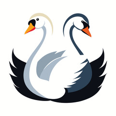 Swan birds set shilhotee vector with white background