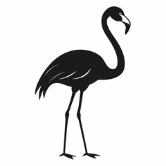 flamingo silhouette isolated on white