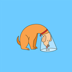 Vector illustration of a sad dog wearing a medical cone collar, looking at a bone. for veterinary clinic advertisements, pet recovery materials, or animal welfare campaigns.