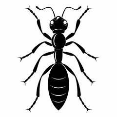 vector illustration of a spider