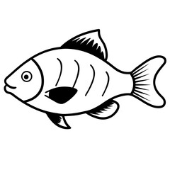 fish on a white background