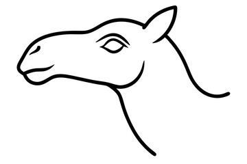 cartoon kangaroo cartoon