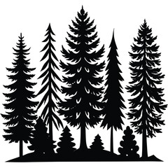 Obraz premium Silhouette of a Group of Evergreen Trees in a Forest