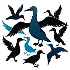  set of Albatross shilhotee vector with white background