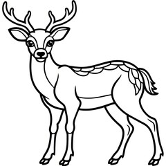 Obraz premium Graceful Deer Line Art