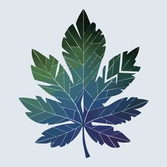 Stylized Maple Leaf Vector Illustration