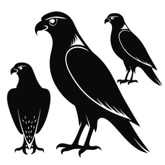  set of Falcon shilhotee vector with white background