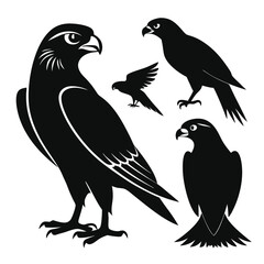  set of Falcon shilhotee vector with white background