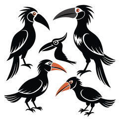  set of Hornbill bird shilhotee vector with white background