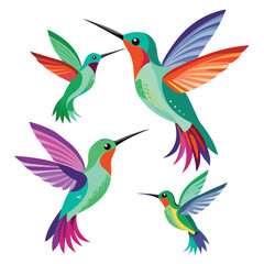  set of Hummingbird birds  shilhotee vector with white background