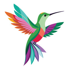 Obraz premium set of Hummingbird birds shilhotee vector with white background