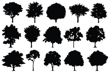 Tree Silhouette Collection